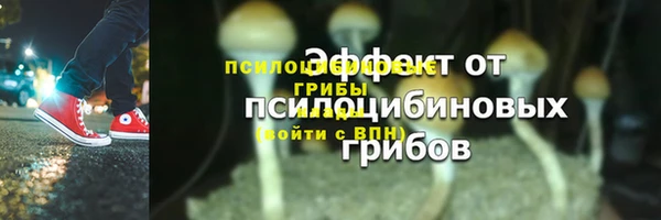 а пвп мука Аркадак