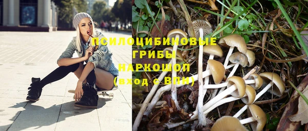 а пвп мука Аркадак