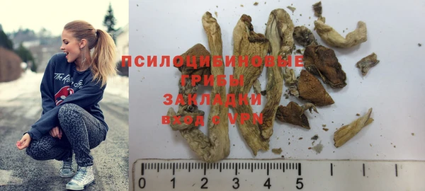 каннабис Арсеньев